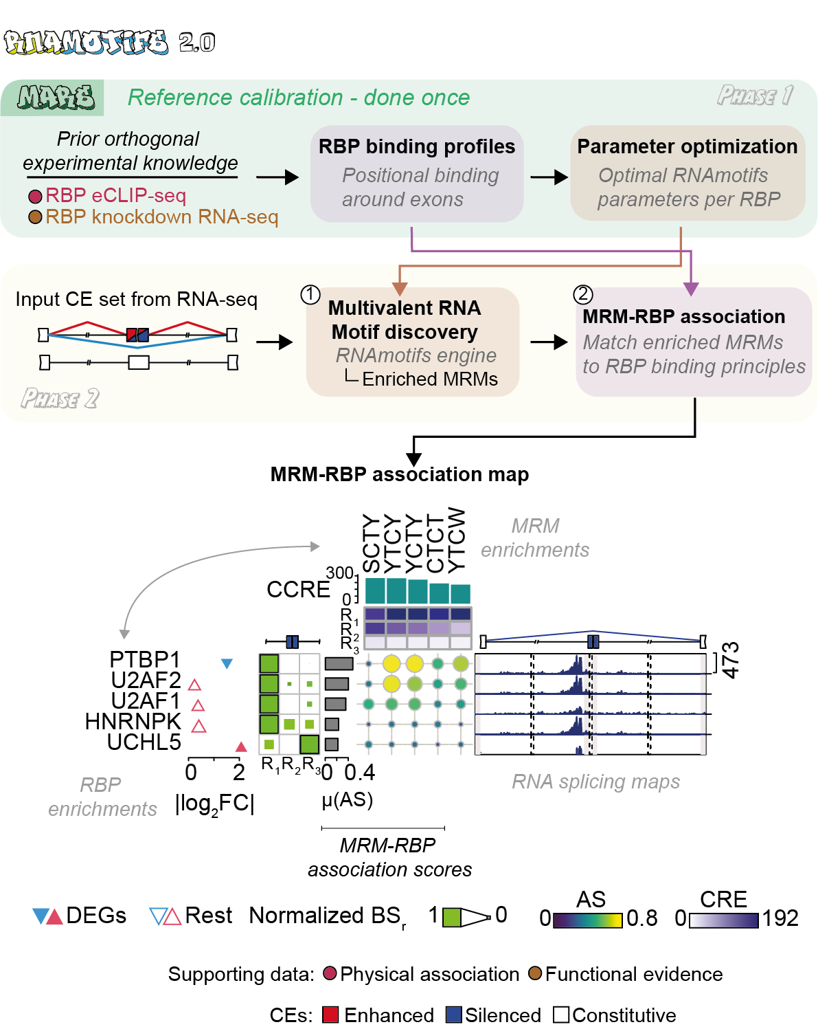 RNAmotifs 2.0 workflow and MRM–RBP association map